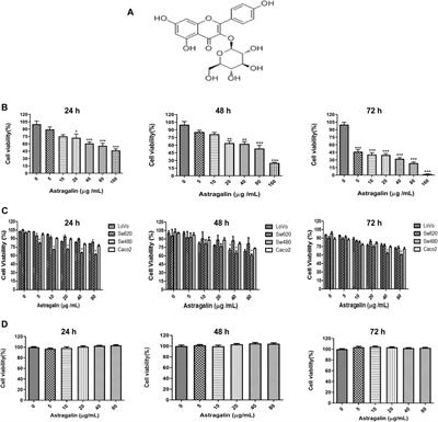 Astragalin Inhibits the Proliferation and Migration of Human Colon Cancer HCT116 Cells by Regulating the NF-κB Signaling Pathway